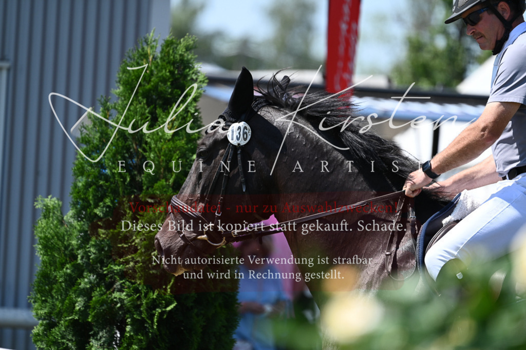 DSC_0748 | Pferde- und Turnierfotografie in Westsachsen. Pferdeportraits, Auftragszeichnungen und intuitive Kunst.