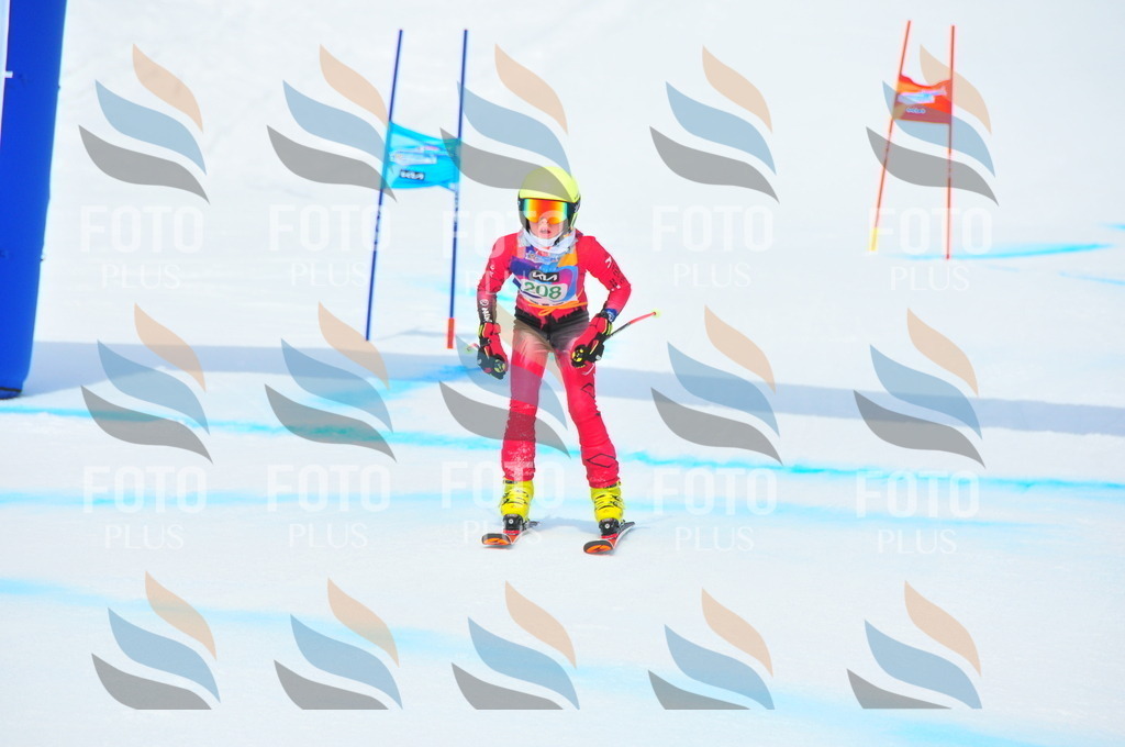 DSC_1903 | holidayphoto