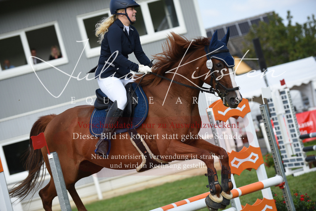 DSC_8847 | Pferde- und Turnierfotografie in Westsachsen. Pferdeportraits, Auftragszeichnungen und intuitive Kunst.