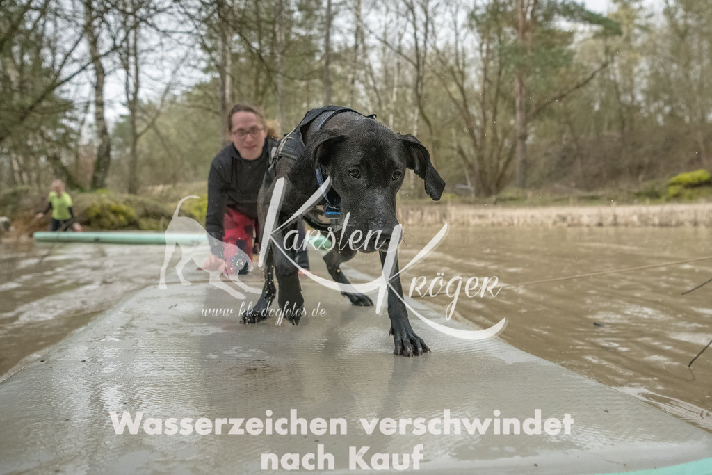 1042_ZZ93266-Bearbeitet | kk-dogfotos