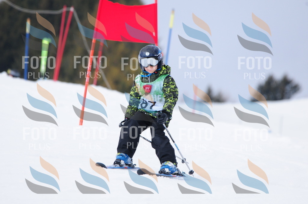 A3764 | holidayphoto