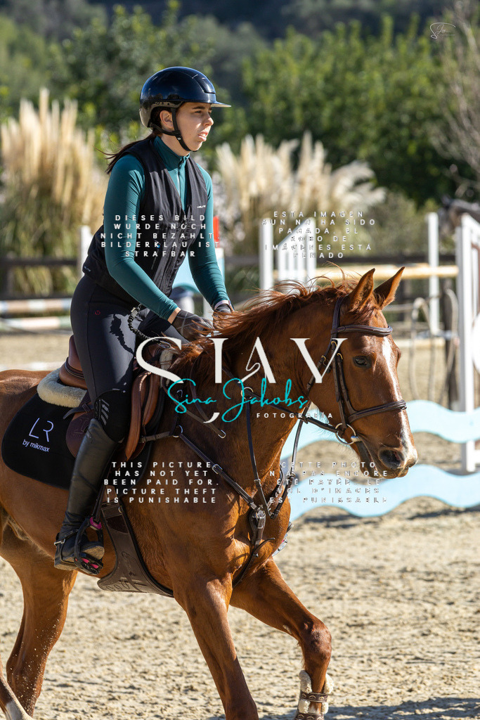 IMG_3628 | s-jay-photography - Realisiert mit Pictrs.com