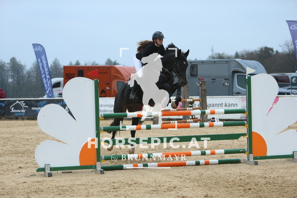 DL2Q7064 | Willkommen bei Brunnmayr - Design & Fotografie – Ihrem Spezialisten für Reitturniere und Pferdeveranstaltungen in Oberösterreich, Salzburg und Bayern! Seit über 17 Jahren sind wir leidenschaftlich dabei.