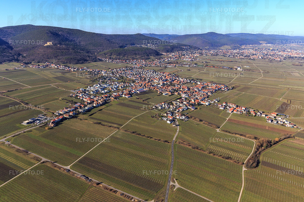 Ortsansicht aus Südosten | Luftbild: Ortsansicht aus Südosten im Ortsteil Diedesfeld in Neustadt im Bundesland Rheinland-Pfalz in Deutschland. Foto: IMG_125335.jpg vom 21.02.2021 durch Werner Riehm/FLY-FOTO.de - Realisiert mit Pictrs.com