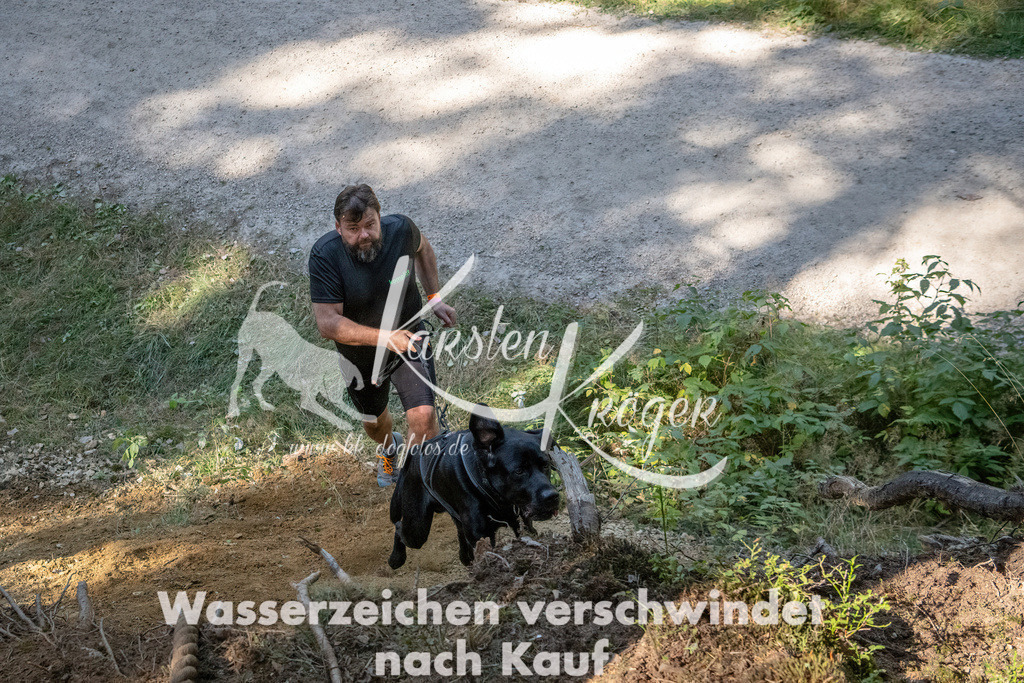 1240_ZZ94780 | kk-dogfotos