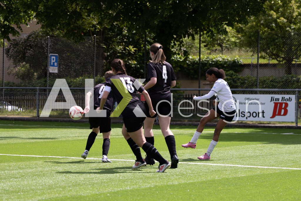 Fußball I Frauen I Saison 2025-2026 I Frauen 3. Liga | FVRZ Gruppe 2 | 18. Spieltag I Spielvereinigung Schaffhausen Damen 1 - Team Furttal Zürich I 17.05.2026 | Hochwertige Sportfotos kaufen & lizenzieren für Medien, Vereine, Agenturen & Sportler:innen. Entdecke professionelle Sportfotografie im Bildshop von Alexander Franzen. - Realisiert mit Pictrs.com