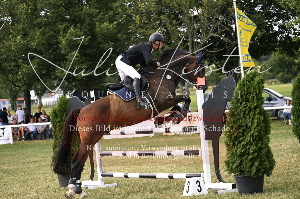 DSC_0844 | Pferde- und Turnierfotografie in Westsachsen. Pferdeportraits, Auftragszeichnungen und intuitive Kunst.