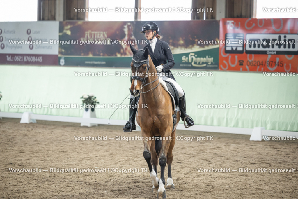 _D5A6241 | Emotionale Pferde- & People-Fotografie rund um Heidelberg, Leimen & Umgebung. Natürliche Fotos von Pferd, Mensch & Familie. Jetzt Termin sichern!