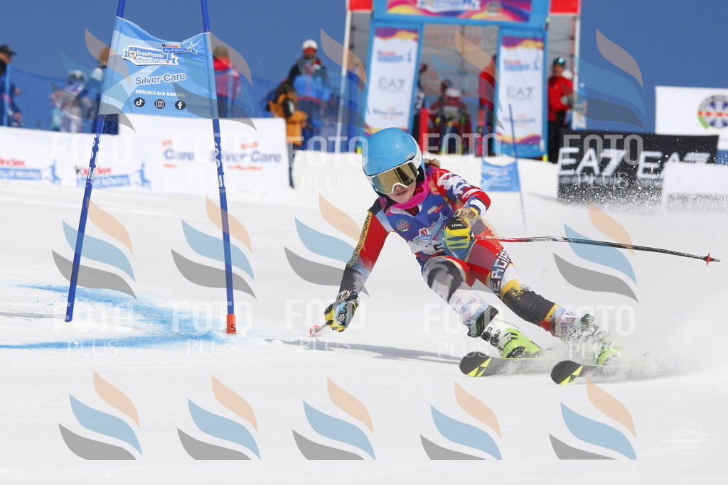 _W1G0836 | holidayphoto