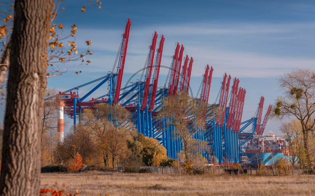 Waltershofer Hafengiraffen im Herbst | Exklusive Hamburg collagen, tolle Segelbilder und viele weitere tolle Motive auf Leinwand, Poster, Alu-Dibond, u.v.m. findet Ihr bei uns auf hamburgbild.de. Findet Euer Wandbild für Euer Zuhause, Büro oder die  Praxis…. - Realisiert mit Pictrs.com