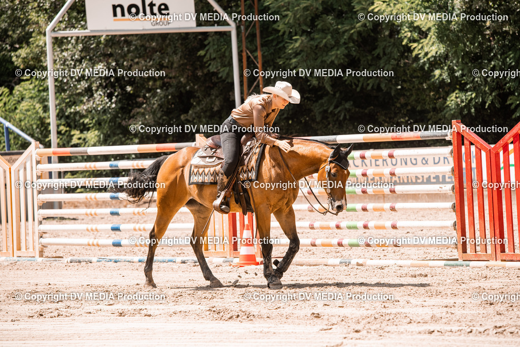 ZS3_0095 | dv-media-shop - Realisiert mit Pictrs.com