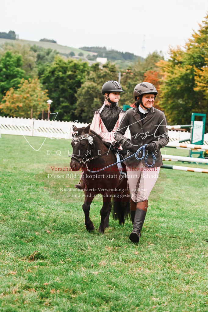 DSC_7329 | Pferde- und Turnierfotografie in Westsachsen. Pferdeportraits, Auftragszeichnungen und intuitive Kunst.