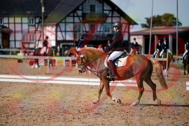 2026_10_03_Siefer-Hof_122027_Z63_43016557 | Professionelle Reitsport-, Turnier- und Eventfotografie von Robert Broda. Galerien mit ausgewählten und bearbeiteten Bildern direkt online ansehen und bestellen.
