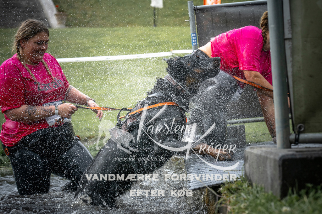 1605_ZZ97812 | kk-dogfotos