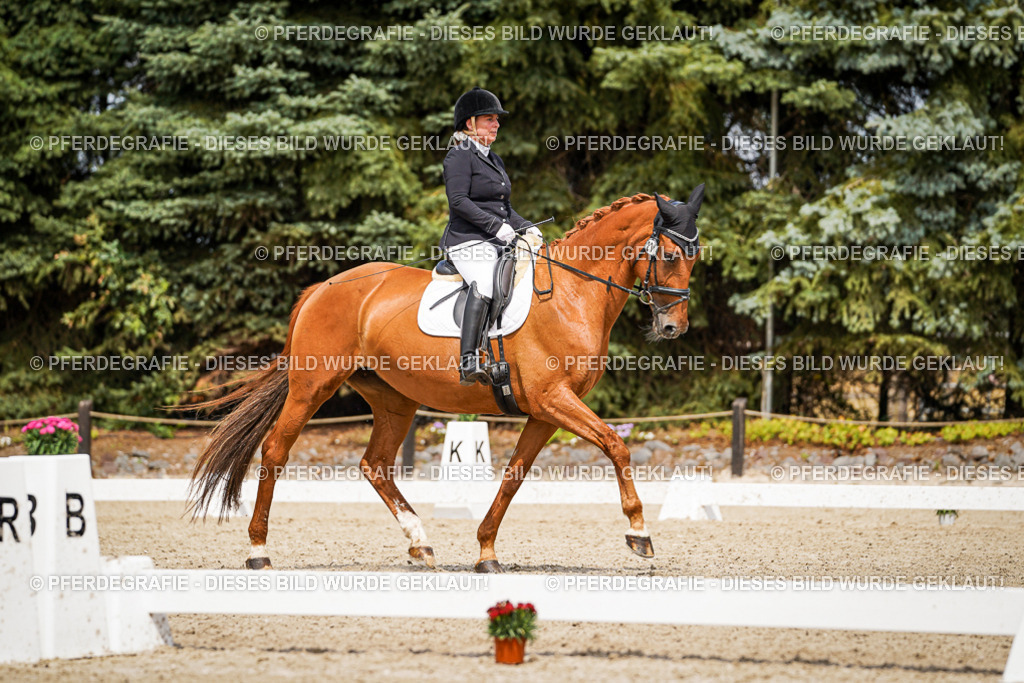 DSC04015 | Pferdegrafie