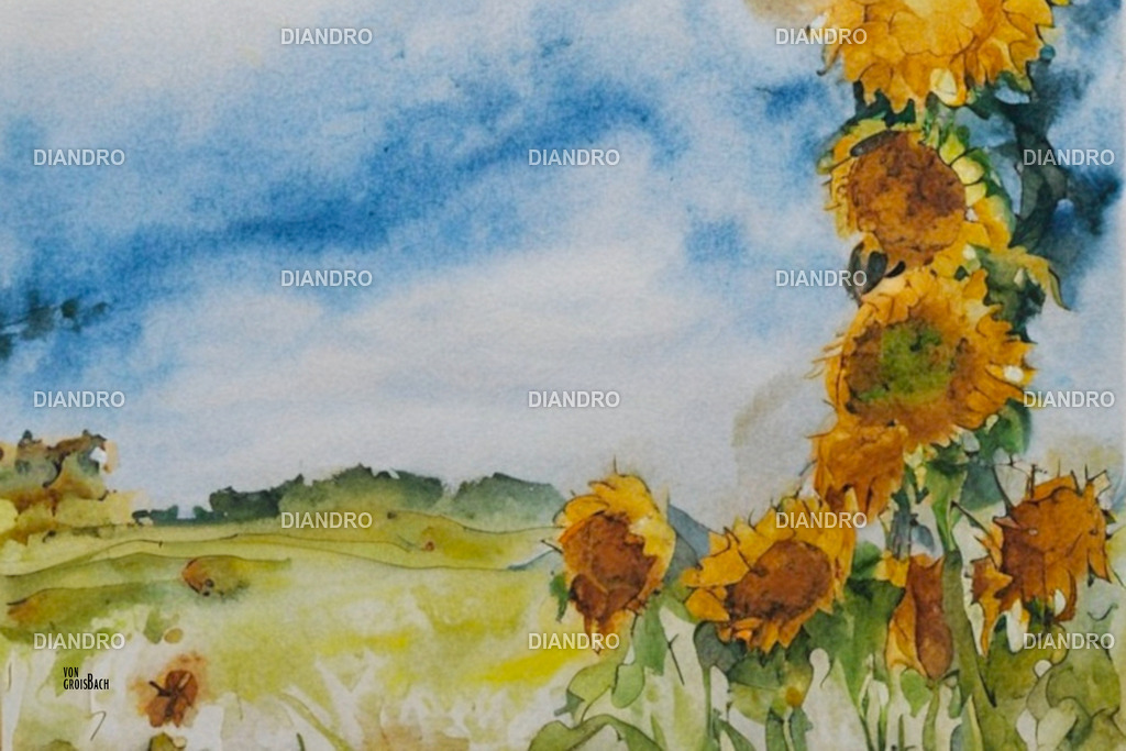 Sonnenblume NÖ Aquarell | DIANDRO