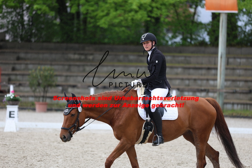 A40A8450 | lmwpictures - Realisiert mit Pictrs.com