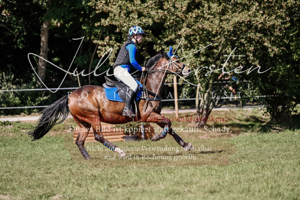 DSC_3104 | Pferde- und Turnierfotografie in Westsachsen. Pferdeportraits, Auftragszeichnungen und intuitive Kunst.