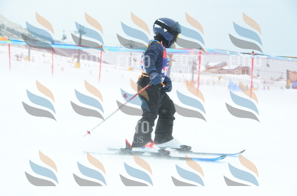 DSC_1279 | holidayphoto