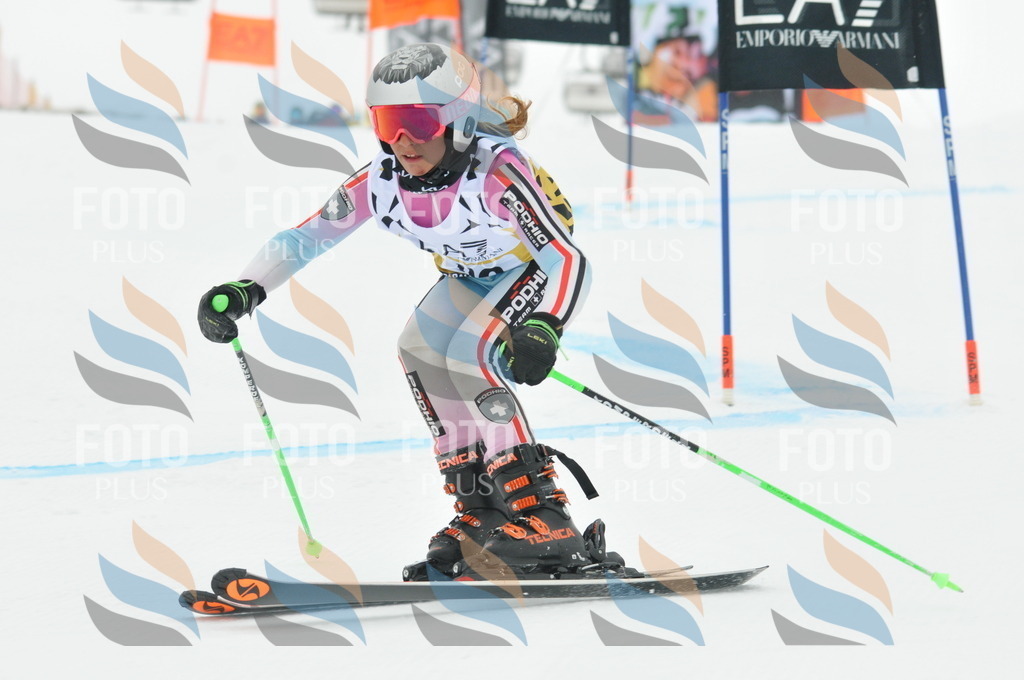 DSC_8137 | holidayphoto