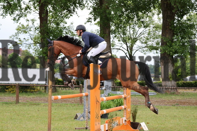 Hambrücken_2025_Prfg.Nr.03_Amateur-Springprfg_Kl.L_Heiko Huttenlocher_Riptide Z (2) | Alle Fotos der Reiterjournal Fotografin Doris Matthaes im Reiterjournal Online-Fotoshop. - Realisiert mit Pictrs.com