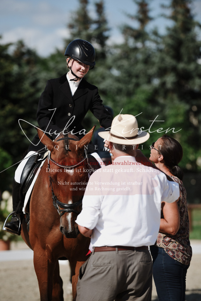 DSC_0203 | Pferde- und Turnierfotografie in Westsachsen. Pferdeportraits, Auftragszeichnungen und intuitive Kunst.