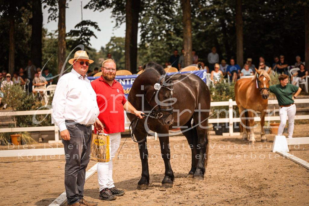 SaSieger00035 | Leoni Ertmer Photography - Realisiert mit Pictrs.com