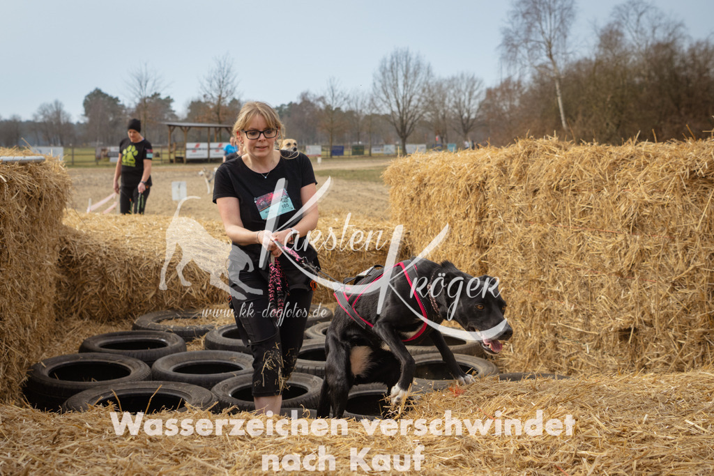 1133_ZZ94275 | kk-dogfotos