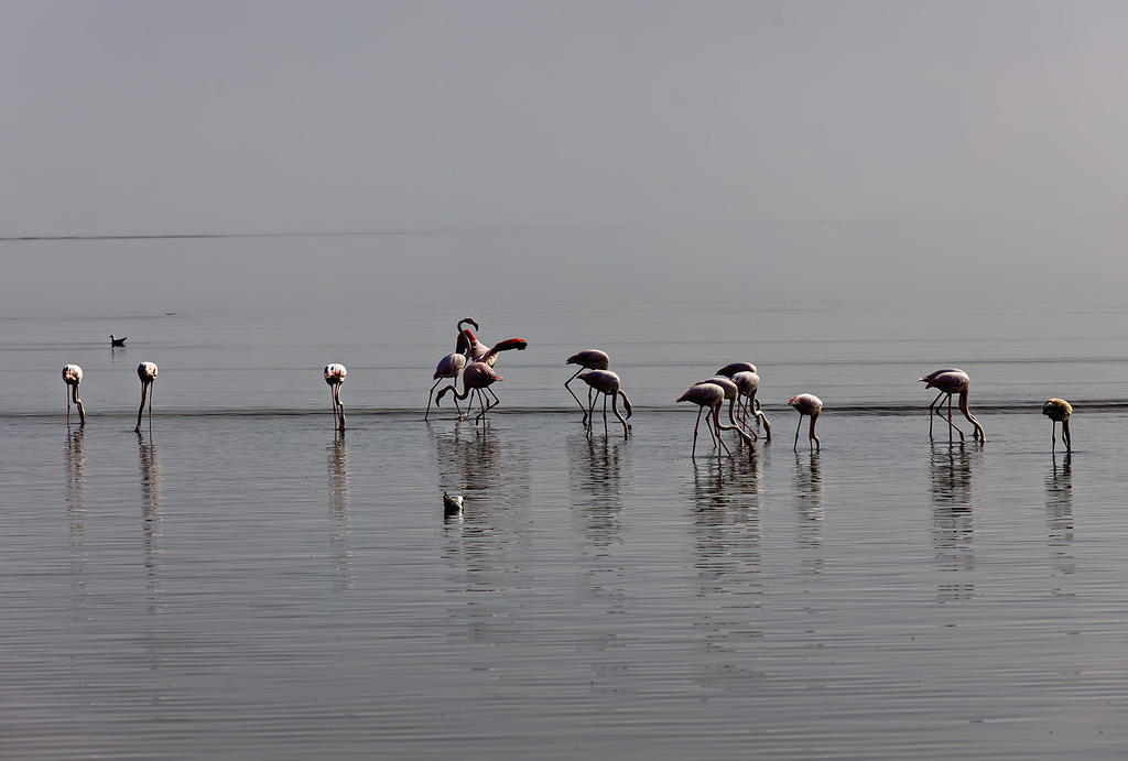 1H5A2504 | ansichtssache