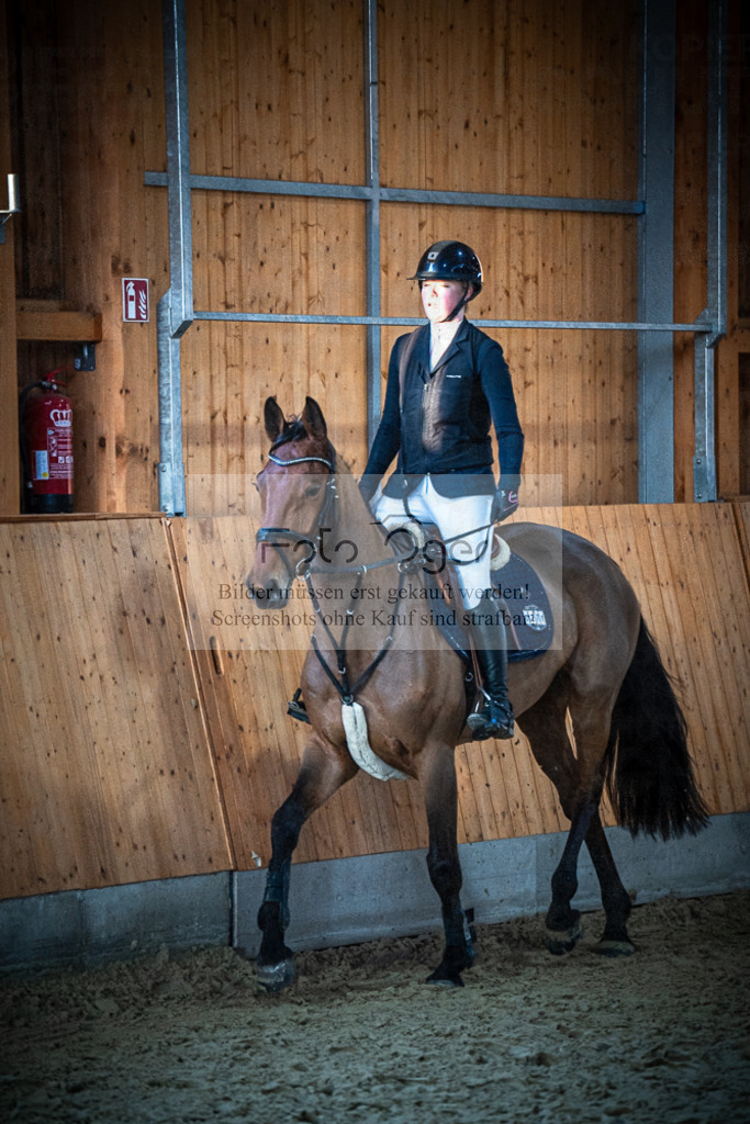 DOS_1134 | Entdecke hochwertige Reitturnierfotos von Foto Oger. Professionell, emotional und authentisch – jetzt Lieblingsmomente im Shop bestellen.Deutschlandweite Turnierfotografie. - Realisiert mit Pictrs.com