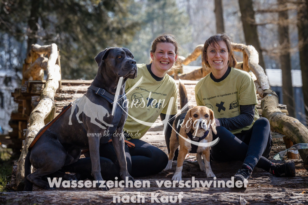 1330_ZZ95313 | kk-dogfotos