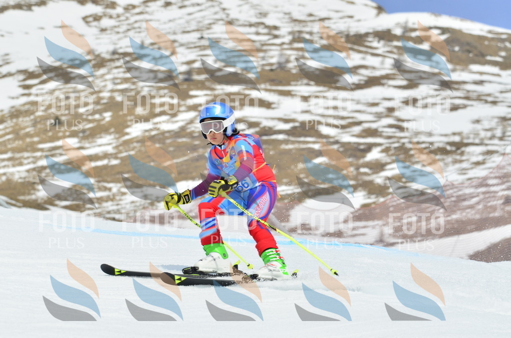 _ELE2950 | holidayphoto