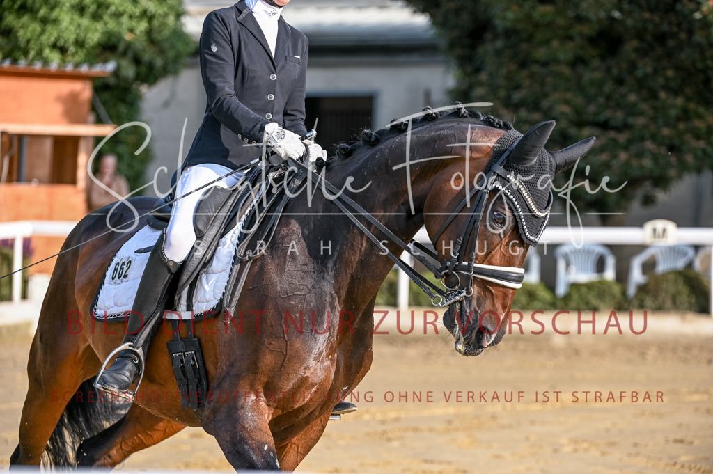 Schugtsche-Aluta25-52.Dressurprf.M2Kand-3 | Schugtsche Fotografie - Realisiert mit Pictrs.com