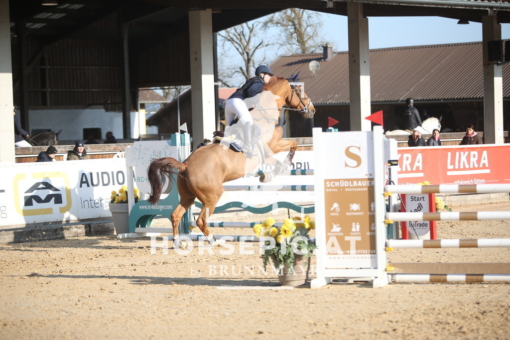 AS8V4754 | Willkommen bei Brunnmayr - Design & Fotografie – Ihrem Spezialisten für Reitturniere und Pferdeveranstaltungen in Oberösterreich, Salzburg und Bayern! Seit über 17 Jahren sind wir leidenschaftlich dabei.