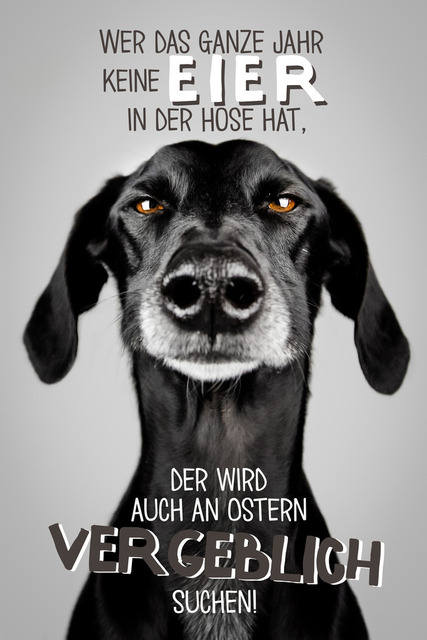 Keine Eier in der Hose | Wer das ganze Jahr keine Eier in der Hose hat, der wird auch an Ostern vergeblich suchen!