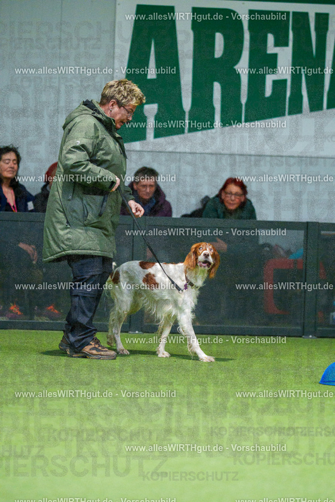 7R500110 | Professionelle Tierfotografie in Mönchengladbach von Daniel Wirth (allesWIRTHgut). Liebevolle & natürliche Bilder von Hunden & Katzen für unvergessliche Erinnerungen.