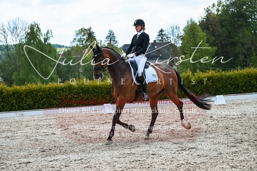20230513_JK-Röhrsdorf-10-0875 | Pferde- und Turnierfotografie in Westsachsen. Pferdeportraits, Auftragszeichnungen und intuitive Kunst.
