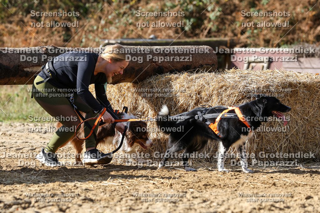 Dog Paparazzi - Strongdog 10-25-4881 | Dog Paparazzi Jeanette Grottendiek Fotografie & Videografie - Realisiert mit Pictrs.com