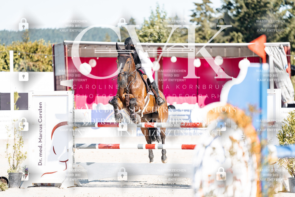 CK904860 | Turnierfotografie Pferdefotografie Trier Rheinland-Pfalz Pferdesport Reitsport Tierfotografie Sportfotografie Pferdevideo Pferdevideografie Equestrianvideography equestrianphotography  - Realisiert mit Pictrs.com