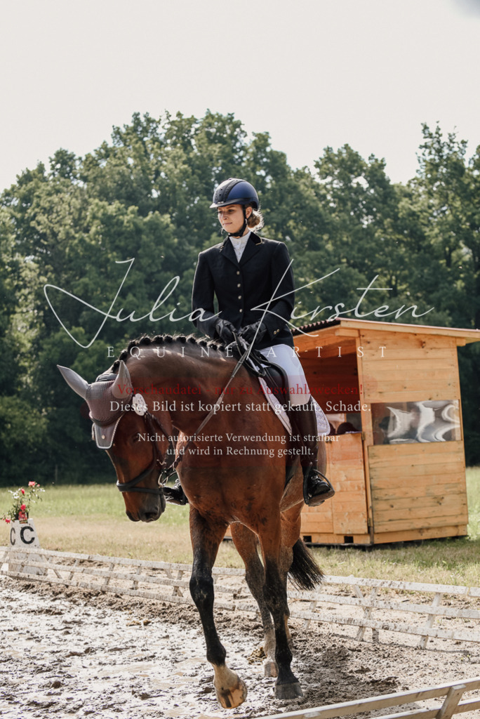 DSC_9085 | Pferde- und Turnierfotografie in Westsachsen. Pferdeportraits, Auftragszeichnungen und intuitive Kunst.