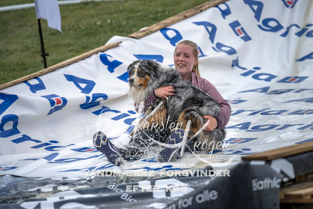 1552_ZZ96819 | kk-dogfotos