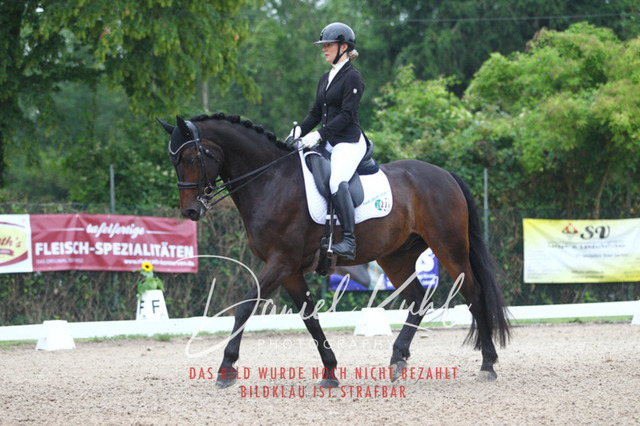 DKP40032 | Turniersportfotografie; Pferdefotografie; Dressurfotografie