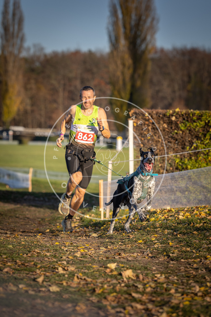 CaniXpix_DV3A4062 | Hundefotografie, Tierfotograf, Pfotenfotografie, Fotoshooting Hund, Hunde Portrait, Hundesport, Hundeportraits, Heideshooting, Hunde, Sportfotograf, Hundefotograf, Turnierhundsport, THS,  - Realisiert mit Pictrs.com