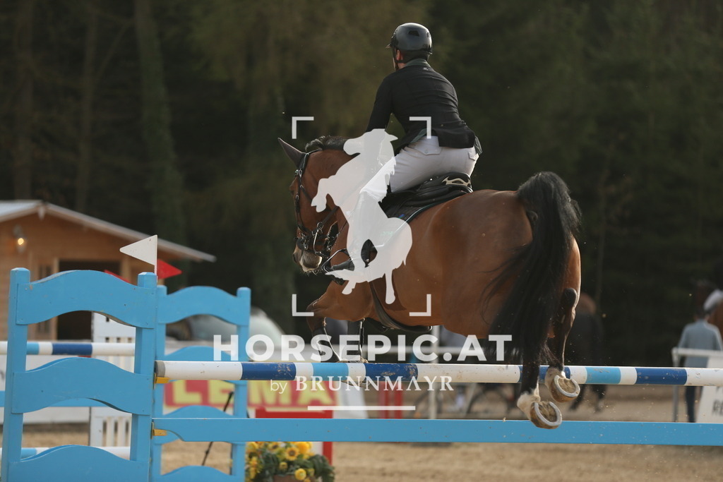 AS8V7466 | Willkommen bei Brunnmayr - Design & Fotografie – Ihrem Spezialisten für Reitturniere und Pferdeveranstaltungen in Oberösterreich, Salzburg und Bayern! Seit über 17 Jahren sind wir leidenschaftlich dabei.