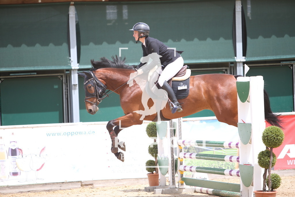 PP019177 | Willkommen bei Brunnmayr - Design & Fotografie – Ihrem Spezialisten für Reitturniere und Pferdeveranstaltungen in Oberösterreich, Salzburg und Bayern! Seit über 17 Jahren sind wir leidenschaftlich dabei.