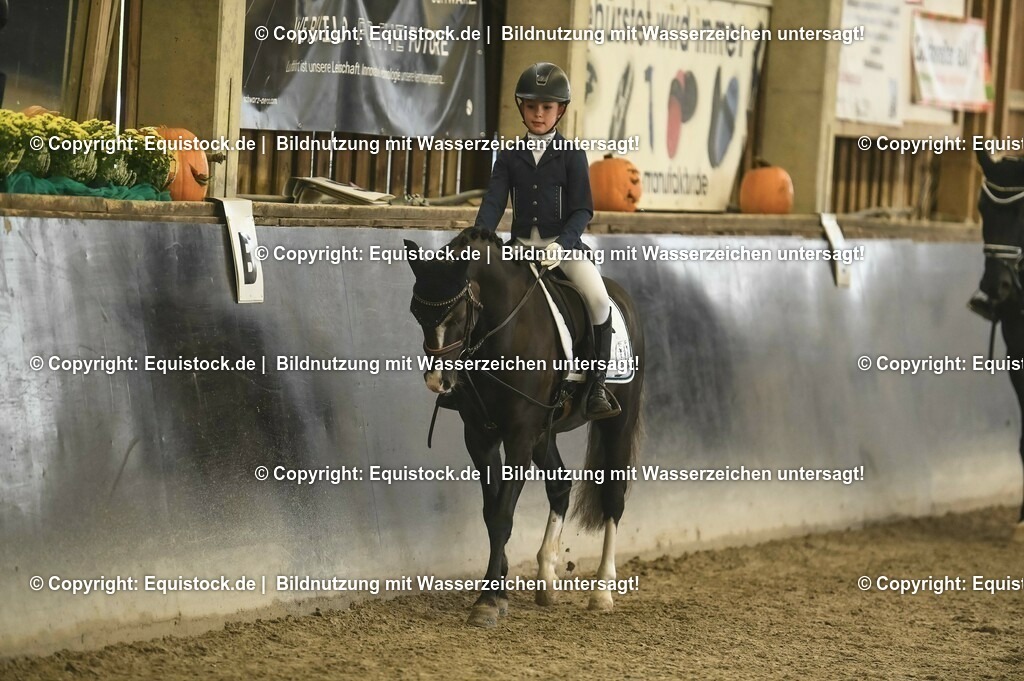 20231029_02_Reiter-WB_Schritt-Trab-Galopp_Abteilung-03_0040 | Foto: Thomas Hartig