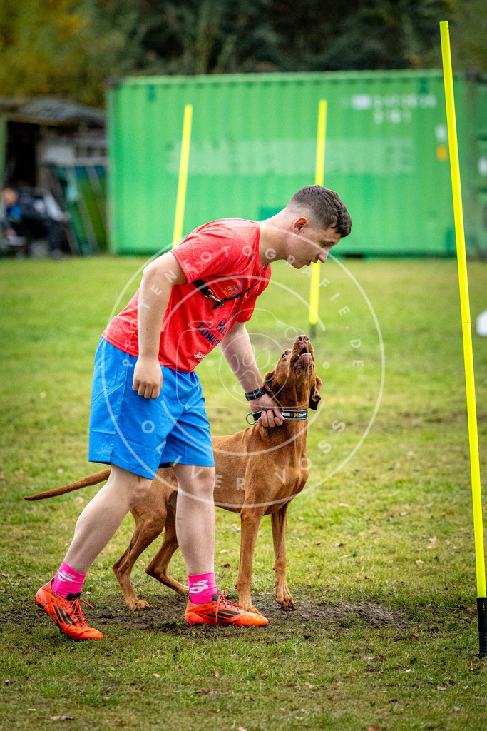 Pfotenfotografie_DV3A1407 | Hundefotografie, Tierfotograf, Pfotenfotografie, Fotoshooting Hund, Hunde Portrait, Hundesport, Hundeportraits, Heideshooting, Hunde, Sportfotograf, Hundefotograf, Turnierhundsport, THS,  - Realisiert mit Pictrs.com