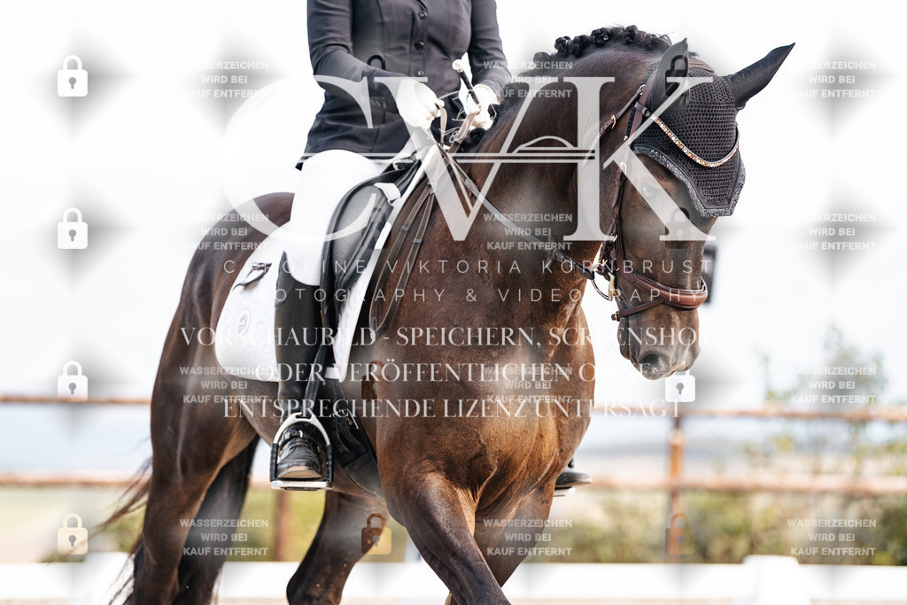 CK901291 | Turnierfotografie Pferdefotografie Trier Rheinland-Pfalz Pferdesport Reitsport Tierfotografie Sportfotografie Pferdevideo Pferdevideografie Equestrianvideography equestrianphotography  - Realisiert mit Pictrs.com