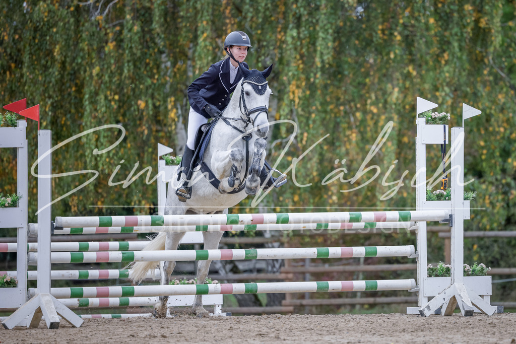 20251012-_3LI4360 | Tierfotografie Pferde, Hunde, Katzen, Haustiere.
Turnierfotografie Reitturniere, Reiten, Springreiten, Dressur in Hanau, dem Main-Kinzig-Kreis und dem Rhein-Main- Gebiet um Frankfurt