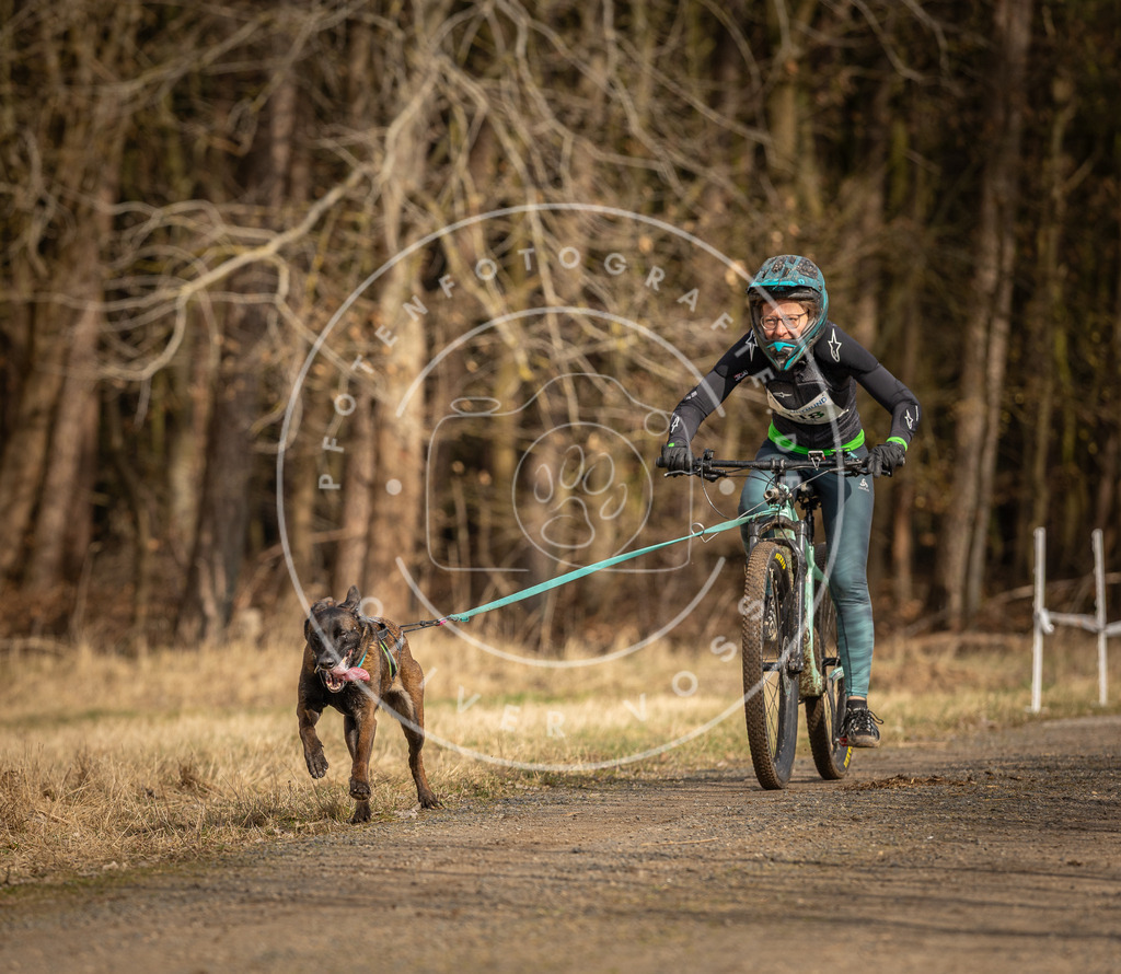 DV3A4496 | Hundefotografie, Tierfotograf, Pfotenfotografie, Fotoshooting Hund, Hunde Portrait, Hundesport, Hundeportraits, Heideshooting, Hunde, Sportfotograf, Hundefotograf, Turnierhundsport, THS,  - Realisiert mit Pictrs.com